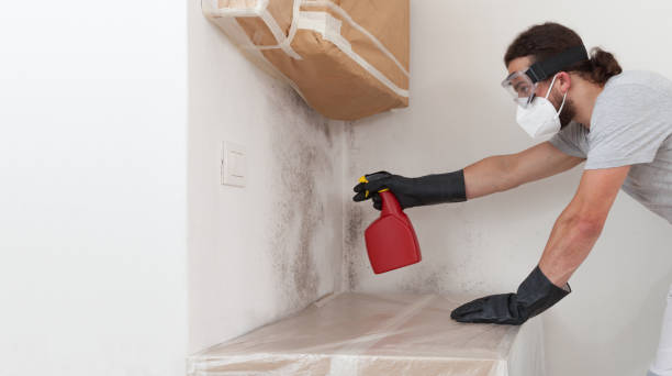 Professional Mold Inspection And Testing technician working in Hines, OR